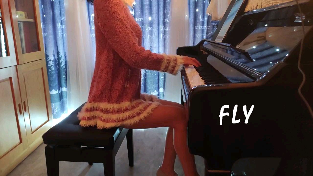 Fly